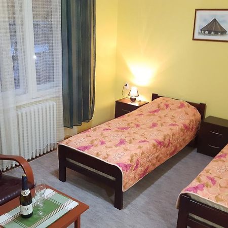 Apartment Roxana Centar Novi Sad Esterno foto