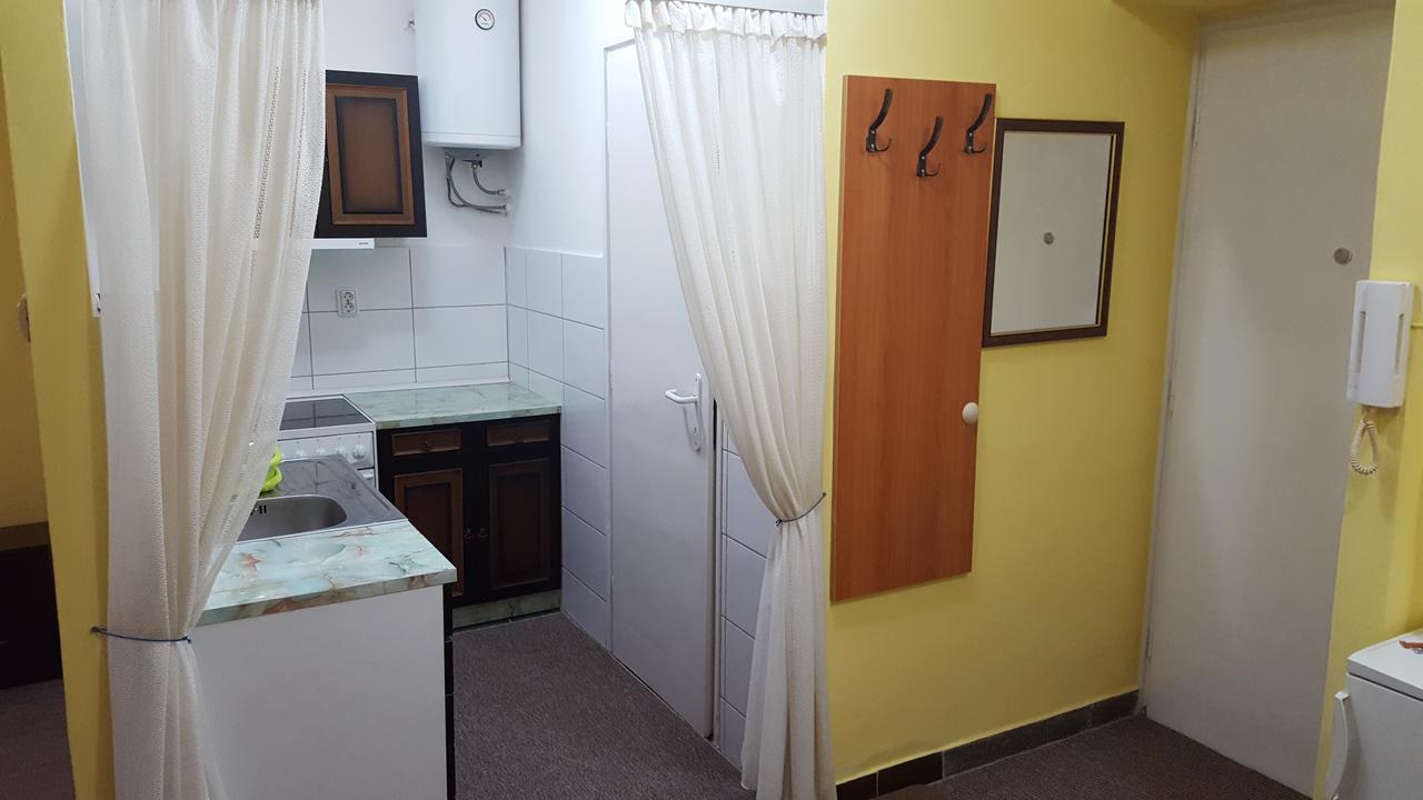Apartment Roxana Centar Novi Sad Esterno foto