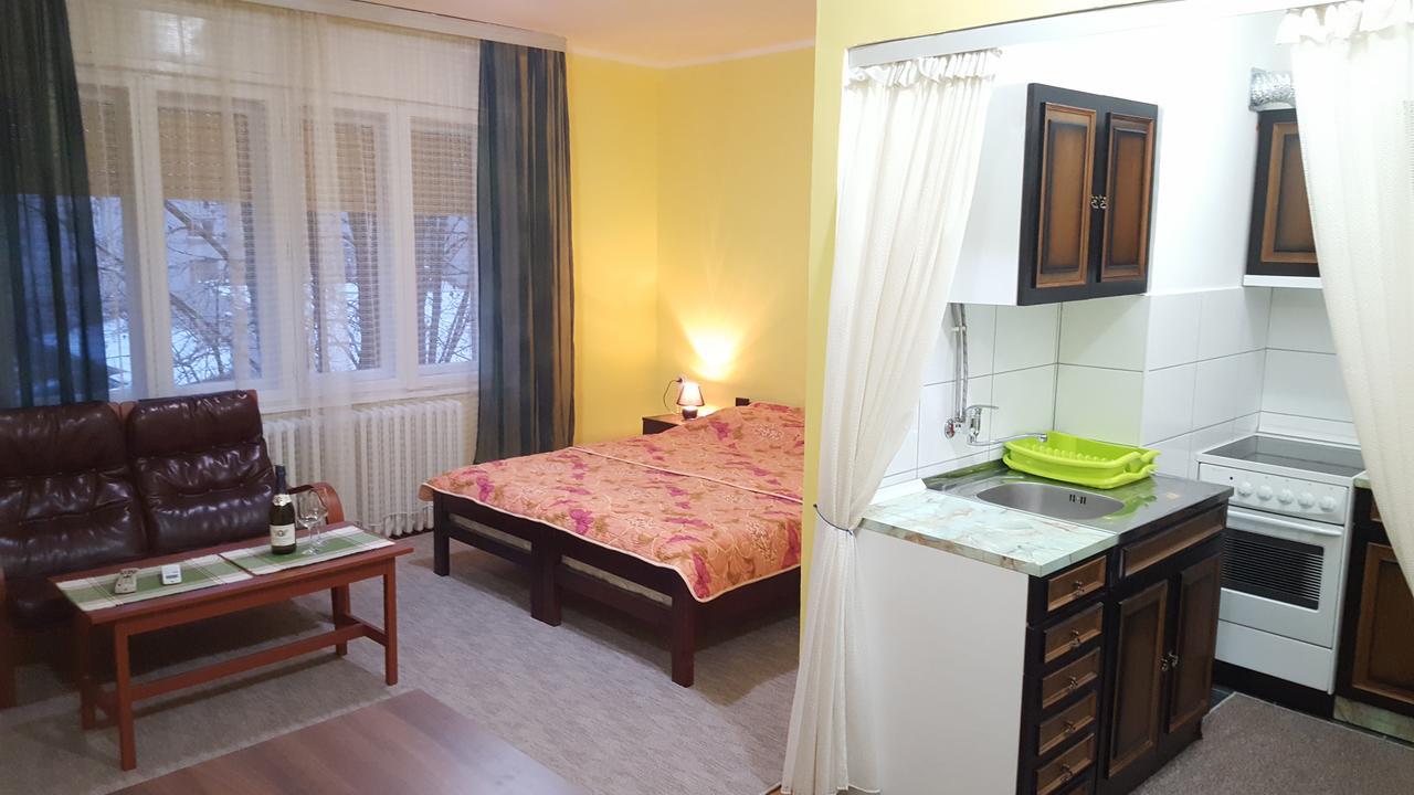 Apartment Roxana Centar Novi Sad Esterno foto