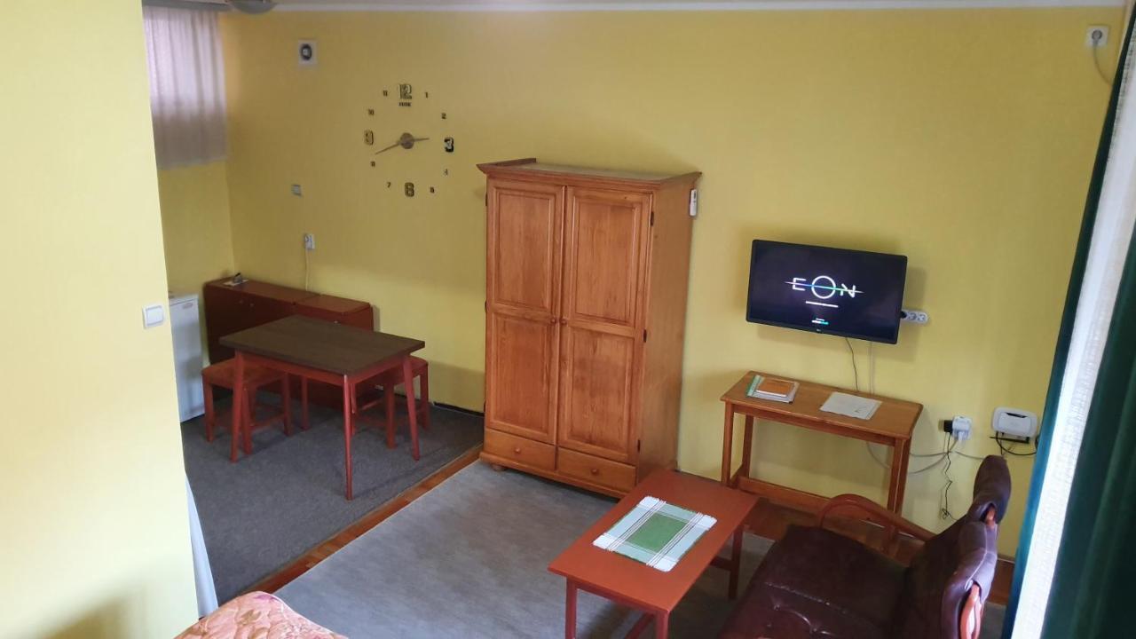 Apartment Roxana Centar Novi Sad Esterno foto